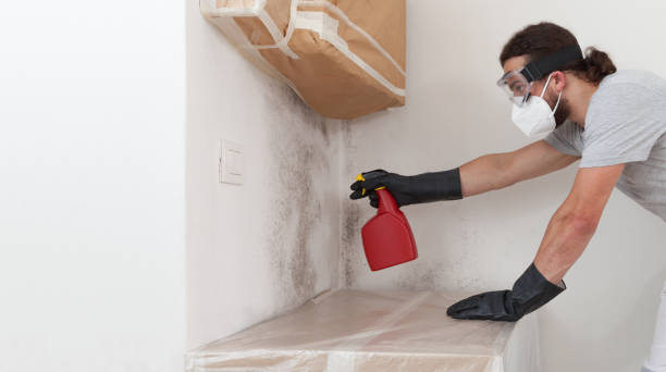Professional Attic Mold Removal technician working in Atlantic Highlands, NJ