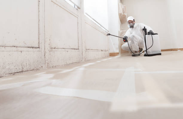 24/7 Emergency Attic Mold Removal experts in Atlantic Highlands, NJ