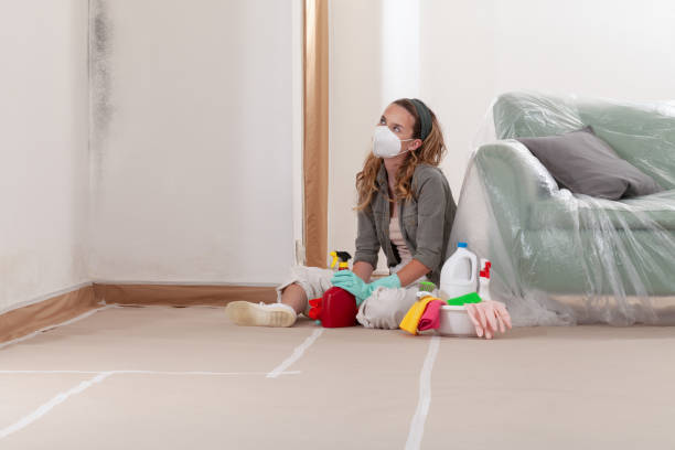 Reliable Attic Mold Removal contractor in Atlantic Highlands, NJ by WQB Mold Removal